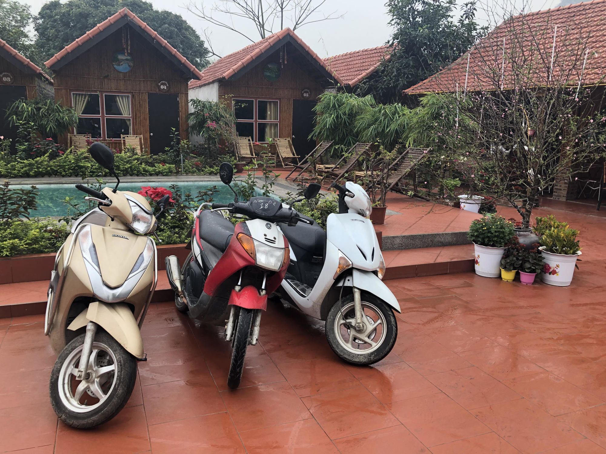 Tam Coc Garden Homestay Ніньбінь Екстер'єр фото