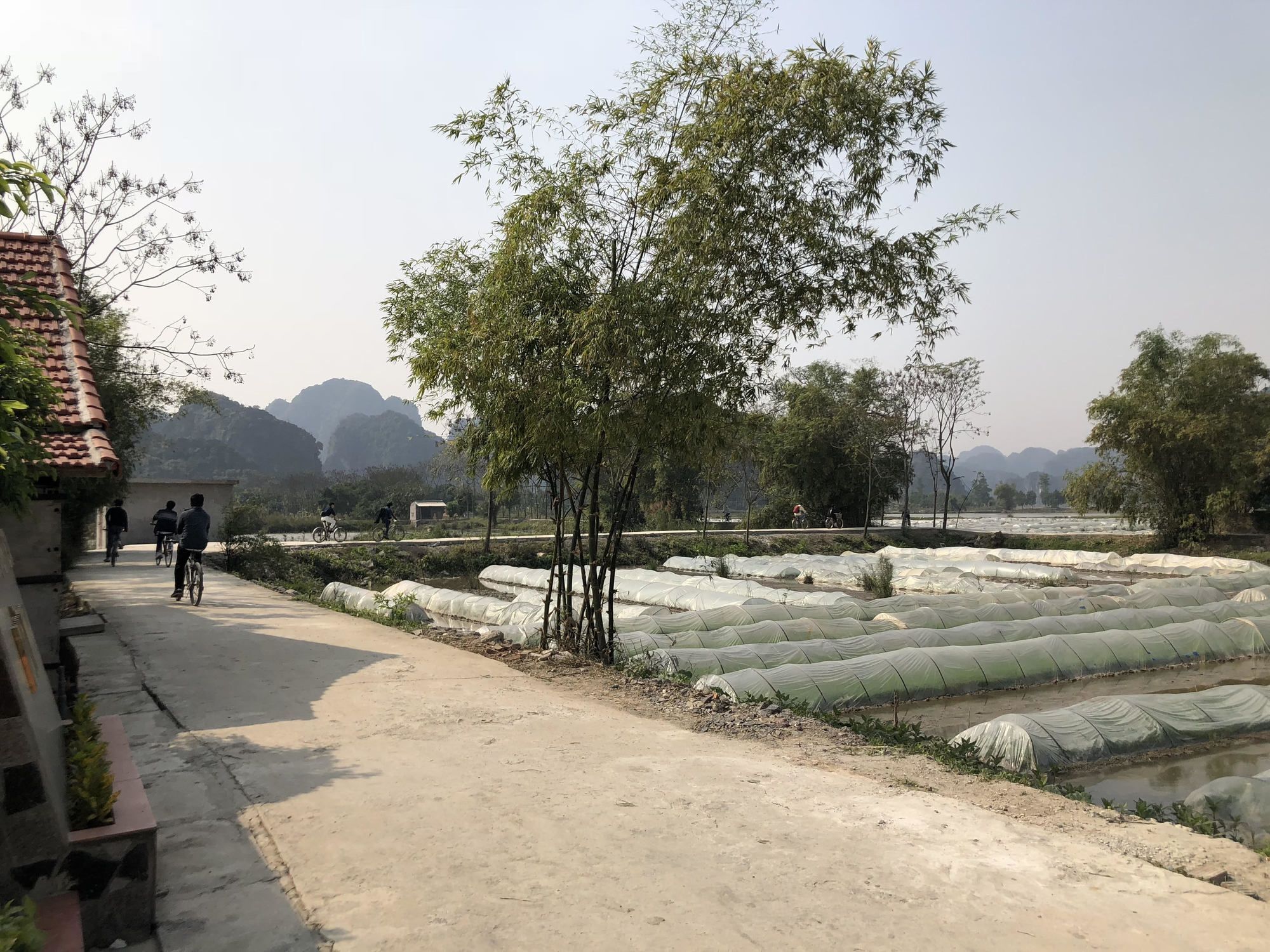 Tam Coc Garden Homestay Ніньбінь Екстер'єр фото